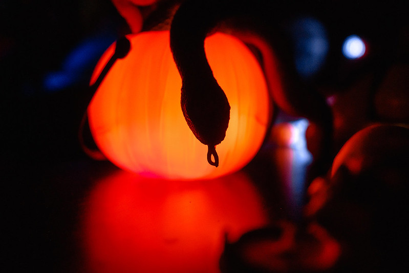 Украшение дома паутиной и летучими мышами к Хэллоуину в Tyumen